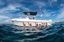 Private Peanut Island Boat & Snorkel Tour