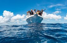 Private Peanut Island Boat & Snorkel Tour
