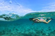 Private Peanut Island Boat & Snorkel Tour