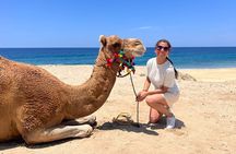 ATV and Camel Ride Combo Tour in Los Cabos