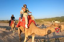 ATV and Camel Ride Combo Tour in Los Cabos