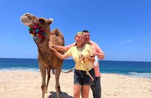 ATV and Camel Ride Combo Tour in Los Cabos