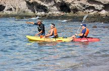 Kayak Excursion to Papagayo