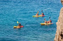 Kayak Excursion to Papagayo