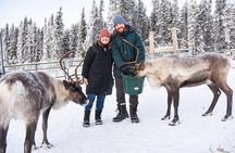 Reindeer and Snowmobile Day Trip