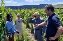 Martinborough Winery and Foodie Tour