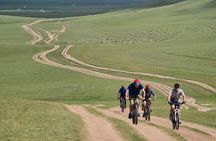Full Day Mountain Biking Tour in Khan Khenty National Park
