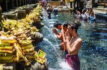 Private Bali Tour - All Inclusive 