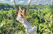 Private Bali Tour - All Inclusive 