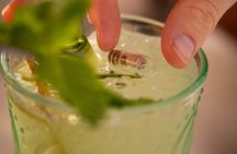 Cocktails Workshop & Sailing Cruise from Barcelona