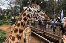Day tour to Nairobi National Park and Giraffe Center