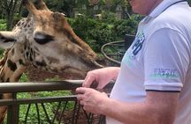 Day tour to Nairobi National Park and Giraffe Center