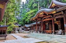 Full-Day Tour: Immerse in Takayama's History and Temples