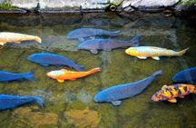 1-Day Tour of Takayama's Cultural Treasures Hida-Furukawa