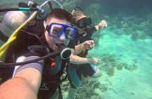 Moving Underwater 2 professional diving with lunch 