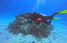 Moving Underwater 2 professional diving with lunch 