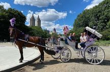 OFFICIAL NYC Central Park Horse Carriage Rides 