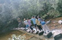 Visit Love Waterfall & Luscious Nature trek with fantastic views