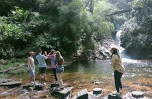 Visit Love Waterfall & Luscious Nature trek with fantastic views