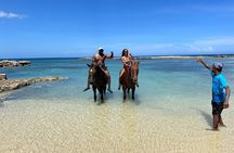 Horseback Ride and Swim Tour In Montego Bay