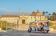 Express Tour of Seville in Private Eco Tuk Tuk