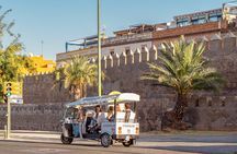 Express Tour of Seville in Private Eco Tuk Tuk