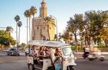 Express Tour of Seville in Private Eco Tuk Tuk