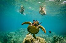 Molokini Snorkel Trip 2-Hour From Kihei