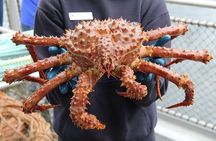 Bering Sea Crab Fisherman's Tour from Ketchikan