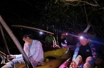 Guided Bioluminescence Night Kayaking Adventure in Belize