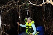 Guided Bioluminescence Night Kayaking Adventure in Belize