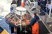 Bering Sea Crab Fisherman's Tour from Ketchikan