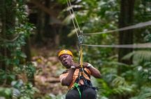 Rainforest Rush: St. Lucia Zip Line Adventure