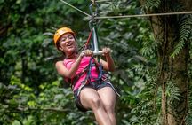 Rainforest Rush: St. Lucia Zip Line Adventure