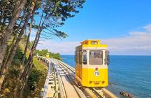 Private Busan Tour with hidden gem of Busan by Local Guide