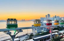 Private Busan Tour with hidden gem of Busan by Local Guide