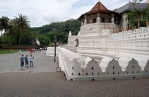 Full Day Kandy City Tour | From Colombo