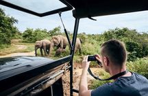 Ella to Tangalle/Hiriketiya/Mirissa/Galle Shuttle & Yala Safari