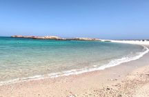 Full Day Camping in Daymaniat Island