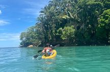 Puerto Viejo Sloth Jungle and River Kayaking Tour