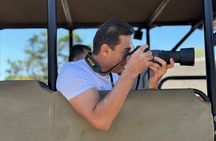 Full Day Exquisite Pilanesberg Safari from Johannesburg