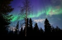 Northern Lights Tour At The Campfire