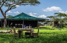  7-Day Private Northern Tanzania Safari