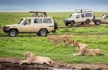  7-Day Private Northern Tanzania Safari