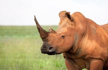 3 Days Safari Adventure in Tarangire and Ngorongoro Crater