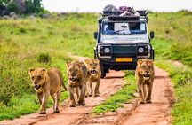 5 Days Safari Tarangire, Serengeti, and Ngorongoro Crater