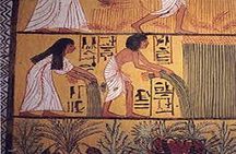 Luxor west bank private half day tour,Habu temple&Deir el Medina 