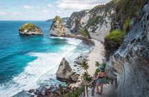 Private Tour: Nusa Penida DiamondBeach-Tree House EastSide Island