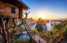 Private Tour: Nusa Penida DiamondBeach-Tree House EastSide Island