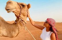 Private Morning Desert Safari Dune Bashing and Short Camel Ride